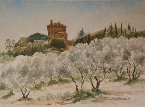 883 Pal Massaini، nr Pienza بواسطة ويلسون كلايف