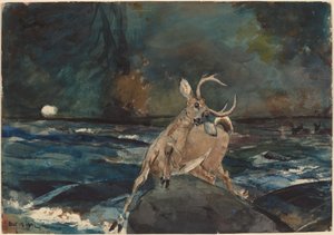 لقطة جيدة ، Adirondacks ، 1892. بواسطة وينسلو هومر