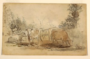 رسم، أربع أبقار ترعى في مرعى، حوالي 1855-60 بواسطة وينسلو هومر