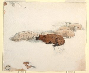 رسم، أغنام تستريح، 1878 بواسطة وينسلو هومر