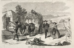 القيادة إلى المنزل الذرة ، 1858. بواسطة وينسلو هومر