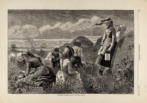 جمع التوت، من مجلة هاربر الأسبوعية، 11 يوليو، 1874 بواسطة وينسلو هومر