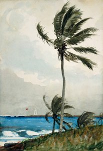 شجرة النخيل ، ناسو ، 1898 (مرحاض وجرافيت على ورق منسوج من البيض) بواسطة وينسلو هومر