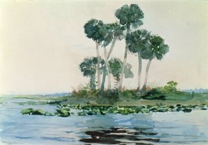 نهر سانت جون ، فلوريدا ، 1890 بواسطة وينسلو هومر