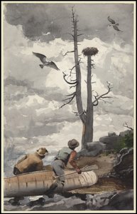 عش النسر 1902 بواسطة وينسلو هومر