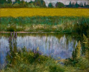 مجال الترمس