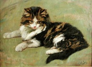 دراسة قطة (زيت على ظهر السفينة)