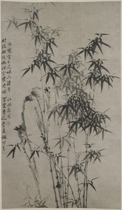 Bamboo and Rocks ، حوالي 1760 (حبر على ورق) بواسطة شيه تشنغ