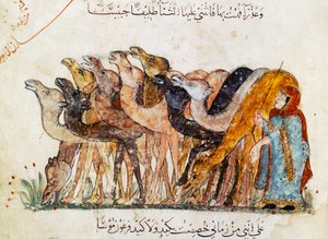 السيدة عر 5847 و 101 ، قطيع الإبل ، من المقامات ، الحريري ، ج. 1240 (انظر أيضًا 1689970)