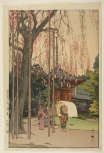 شجرة الكرز في Kawagoe بواسطة يوشيدا هيروشي