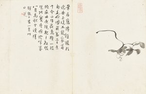 المناظر الطبيعية والزهور ، ألبوم ستة أوراق بواسطة Zhu da Bada Shanren