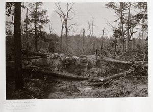 Battlefield of New Hope Church, Georgia, USA بواسطة فرديناند جورج والدمولر