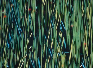 COMPOSITE, LM PMC carbon fibre in a polymer matrix بواسطة فريدريك (المرتبط ب) بارنارد