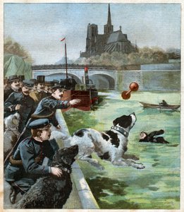 Chien sauveteur. Rescue dog. بواسطة ريتشارد (بعد) داد