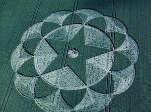 Crop circle in barley field, Avebury Trusloe, Wiltshire, 20th June 1998 (aerial photograph) بواسطة فرديناند جورج والدمولر