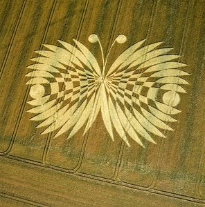 Crop circle in wheat field, Hailey Wood, Ashbury, Oxfordshire بواسطة فرديناند جورج والدمولر