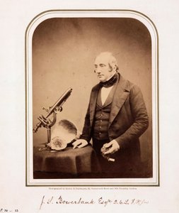 James Scott Bowerbank, British geologist بواسطة فرديناند جورج والدمولر