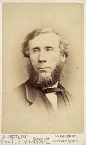 John Tyndall, Irish physicist, c 1875 بواسطة فريدريك (المرتبط ب) بارنارد