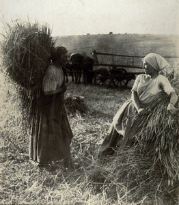 Les Moissonneuses, vers 1900 بواسطة فريدريك (المرتبط ب) بارنارد