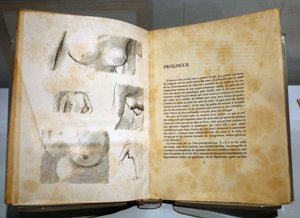 متحف الانطباعية ، جيفرني ، فرنسا. كتاب لرامون غوميز دي لا سيرنا مع رسومات بيير بونارد. الصدور. بواسطة . .