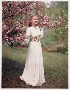 Woman modelling a dress near blossom, c 1940s بواسطة فريدريك (المرتبط ب) بارنارد