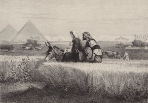 الرحلة إلى مصر