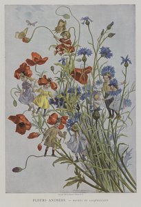 فلور أنيمي. Bluets et Coquelicots. (زهور متحركة: زهور الذرة والخشخاش)