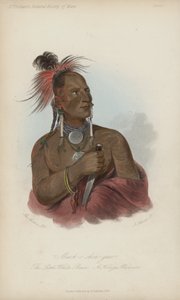 Meach-o shin-gaw، The Little White Bear، A Konza Warrior (aquatint) بواسطة بعد جورج كاتلين