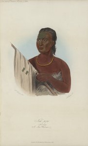 Nah-pope، The Soup، A Sac Warrior (aquatint) بواسطة بعد جورج كاتلين