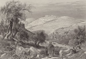 صعود أوليفيت