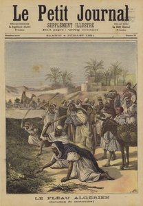 الطاعون الجزائري