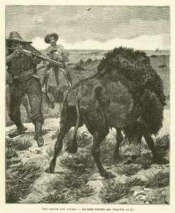 A Bison Hunt
