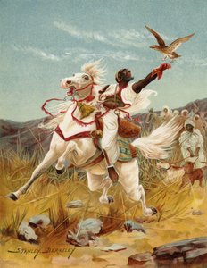 هوكينج في المغرب (chromolitho)