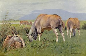 Eland بواسطة بعد فيلهلم كونرت