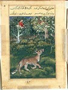الحمار ، في جلد النمر ، يكشف عن هويته بالنهق بصوت عالٍ ، من توتي-ناما (حكايات ببغاء): الليلة الحادية والثلاثون بواسطة ينسب إلى Basavana