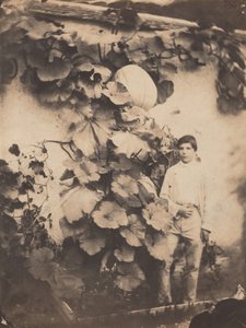 صبي مع كرمة اليقطين، 1854 (صورة) بواسطة الاخوة فارين
