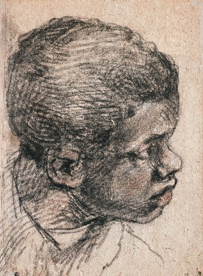 Head of Negro boy, Paolo Caliari known as Veronese (1528-1588), drawing بواسطة فيرونيز