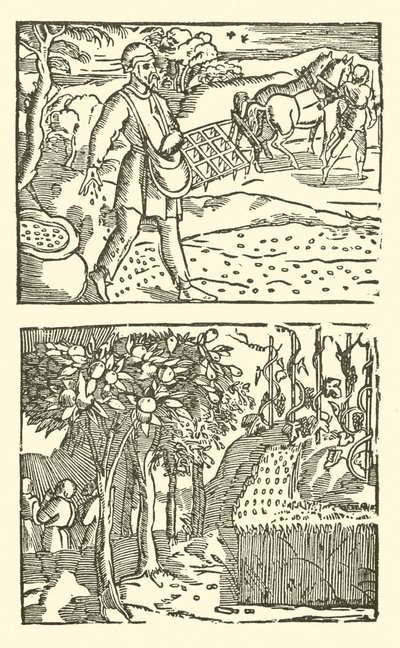 رسم توضيحي لـ Roxburghe Ballads (نقش خشبي) بواسطة (بعد) المدرسة الإنجليزية