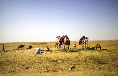 في الصحراء بواسطة ديتليف ب. فيشر