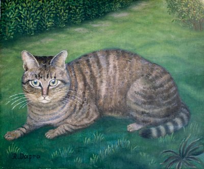 القطة جوليا بواسطة 