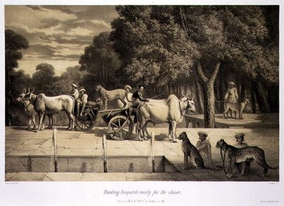 صيد النمور الجاهزة للمطاردة ، من "رحلة في الهند" ، نقش بواسطة حانة لويس هنري دي رودر (1807-1881). في لندن بواسطة أ (بعد) سولتيكوف