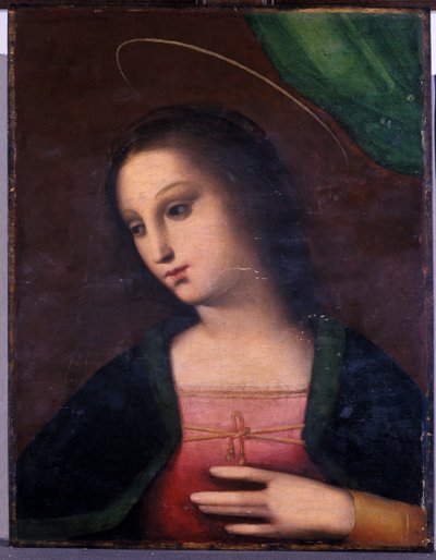 صورة ماري (تمبرا على الخشب) بواسطة A. 1485-c.1525 Piccinelli