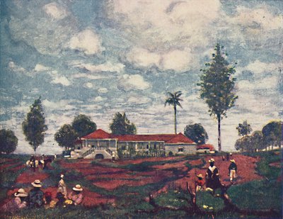 قهوة فازيندا ، 1916 بواسطة AS فورست