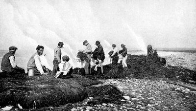 حرق الأعشاب البحرية لعشب البحر ، آران ، أيرلندا ، 1922. بواسطة AW كاتلر