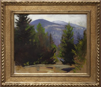 رسم تخطيطي لجبل مونادنوك ، 1897 بواسطة أبوت هاندرسون ثاير