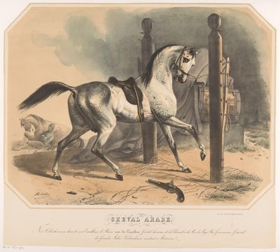 الحصان العربي من تصميم Godert van der Capellen شوفال العربي (العنوان على الكائن) بواسطة ابراهام هنريك وينتر