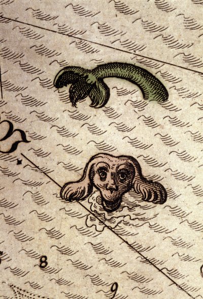وحش بحري له رأس كلب وجسم سمكة. تفاصيل خريطة في "Theatrum Orbis Terrarum" بقلم أبراهام أورتيليوس ، أنتويرب 1584. بواسطة إبراهيم أورتيليوس