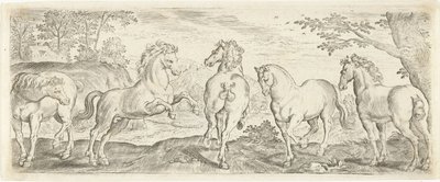 خيل الحيوانات (عنوان السلسلة) بواسطة ماركوس غيريرتس (الثاني) (ربما)