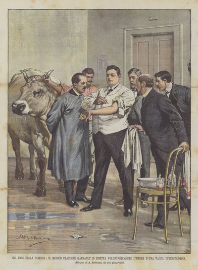 أبطال العلم ، الطبيب الفرنسي Garnault يحقن طوعًا البقر LUMORE DUna Tuberculotic Cow بواسطة أخيل بيلترام