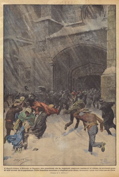 الآفة البيضاء بواسطة Achille Beltrame